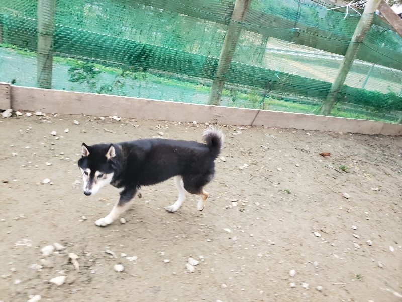 f:id:roukenhome-ann:20191222211408j:plain f:id:roukenhome-ann:20191222211408j:plain