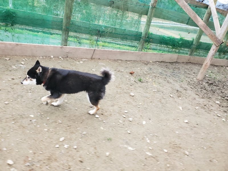 f:id:roukenhome-ann:20191222211422j:plain f:id:roukenhome-ann:20191222211422j:plain