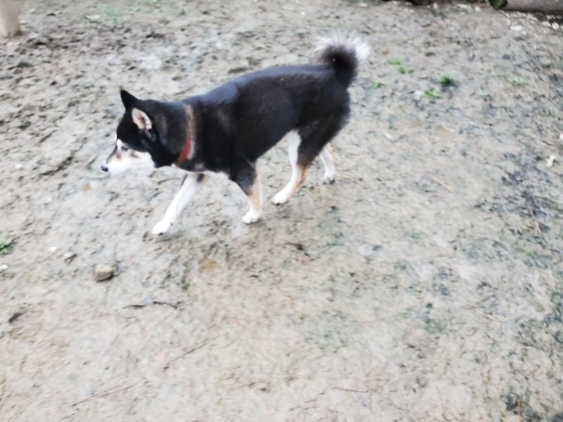 f:id:roukenhome-ann:20191222211434j:plain f:id:roukenhome-ann:20191222211434j:plain