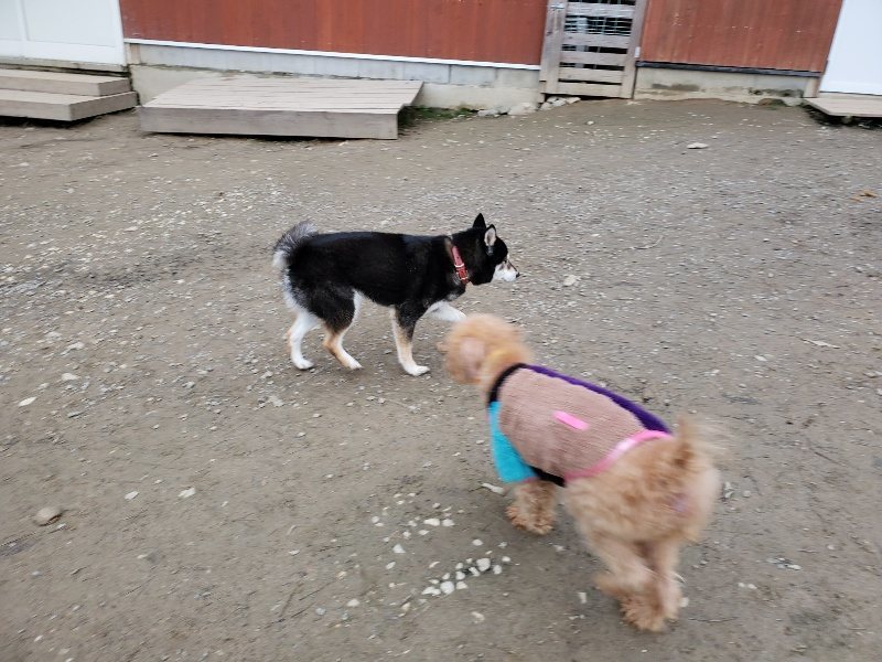 f:id:roukenhome-ann:20191222211441j:plain f:id:roukenhome-ann:20191222211441j:plain