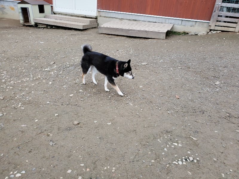 f:id:roukenhome-ann:20191222211502j:plain f:id:roukenhome-ann:20191222211502j:plain