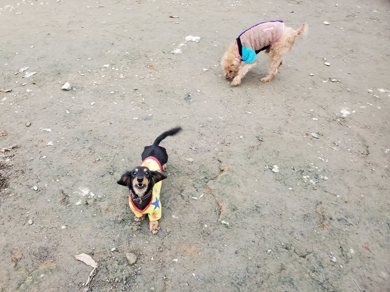 f:id:roukenhome-ann:20191222211516j:plain f:id:roukenhome-ann:20191222211516j:plain