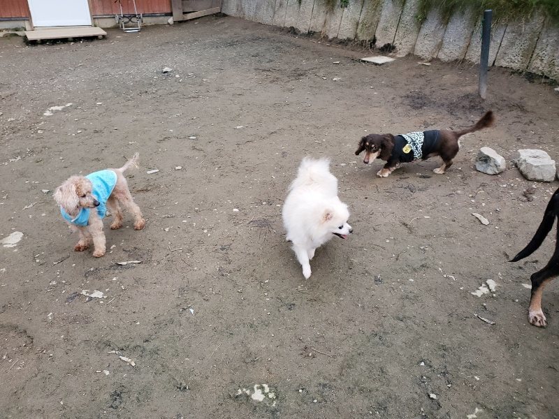 f:id:roukenhome-ann:20191222211524j:plain f:id:roukenhome-ann:20191222211524j:plain