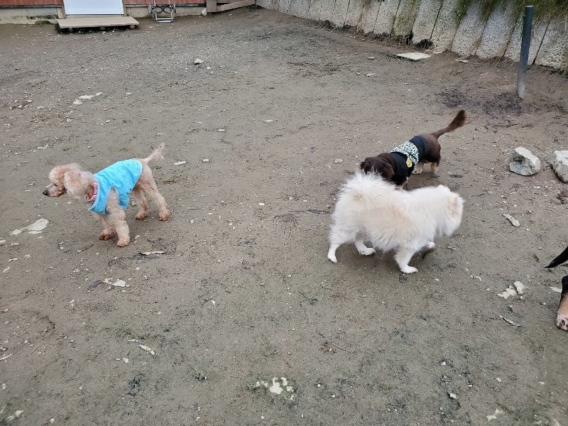 f:id:roukenhome-ann:20191222211533j:plain f:id:roukenhome-ann:20191222211533j:plain