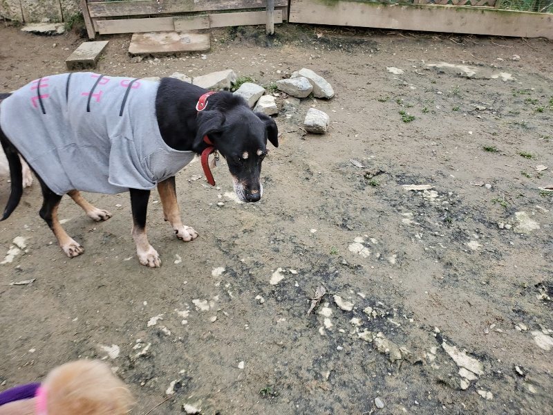 f:id:roukenhome-ann:20191222211544j:plain f:id:roukenhome-ann:20191222211544j:plain