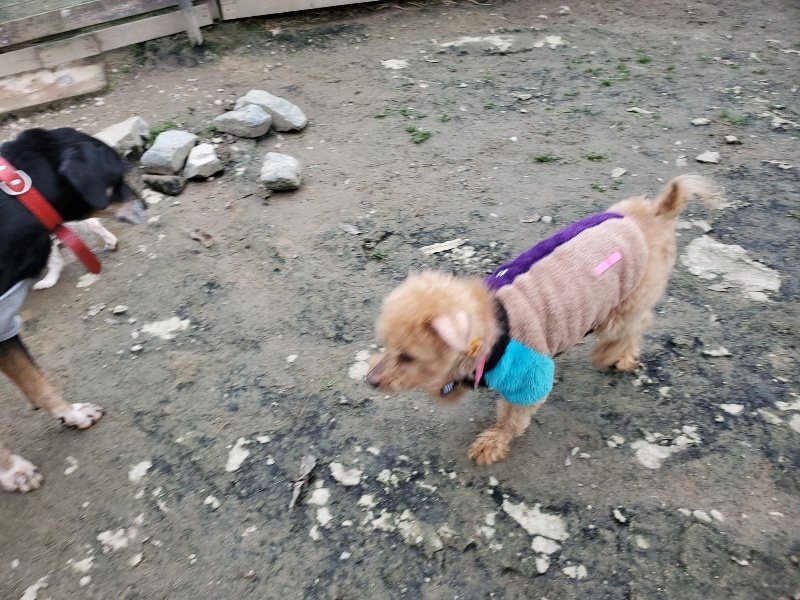 f:id:roukenhome-ann:20191222211550j:plain f:id:roukenhome-ann:20191222211550j:plain