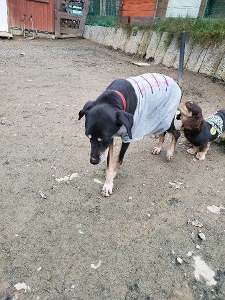 f:id:roukenhome-ann:20191222211558j:plain f:id:roukenhome-ann:20191222211558j:plain