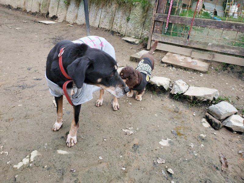 f:id:roukenhome-ann:20191222211624j:plain f:id:roukenhome-ann:20191222211624j:plain