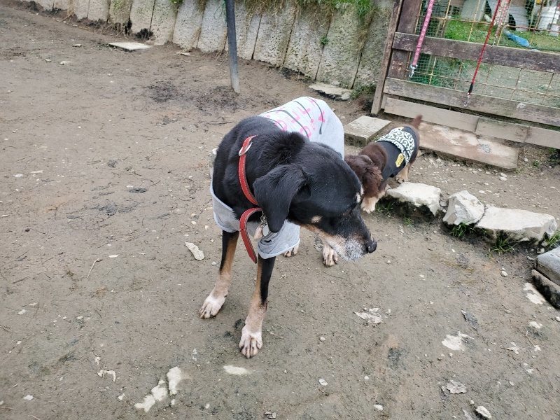 f:id:roukenhome-ann:20191222211631j:plain f:id:roukenhome-ann:20191222211631j:plain