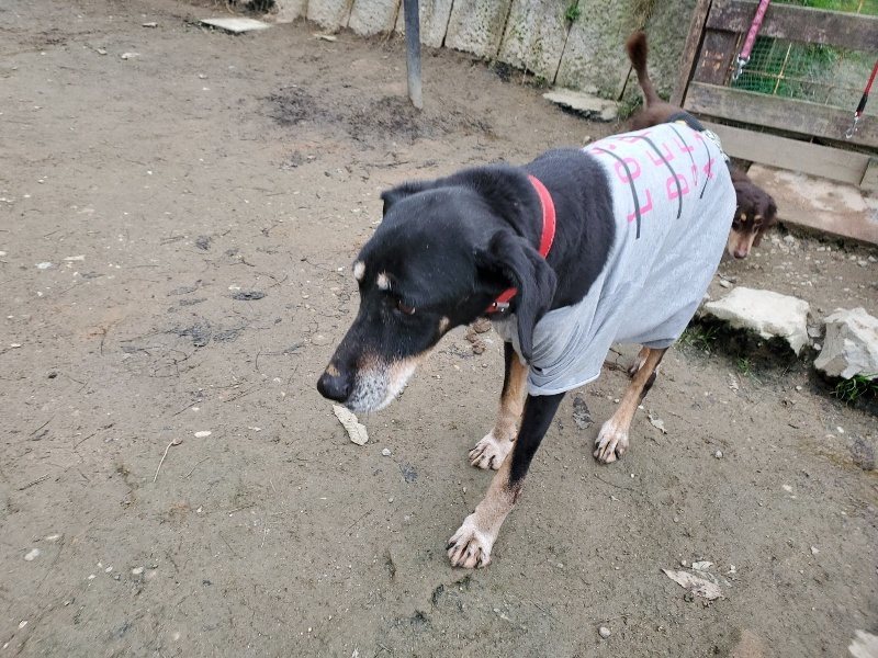 f:id:roukenhome-ann:20191222211639j:plain f:id:roukenhome-ann:20191222211639j:plain