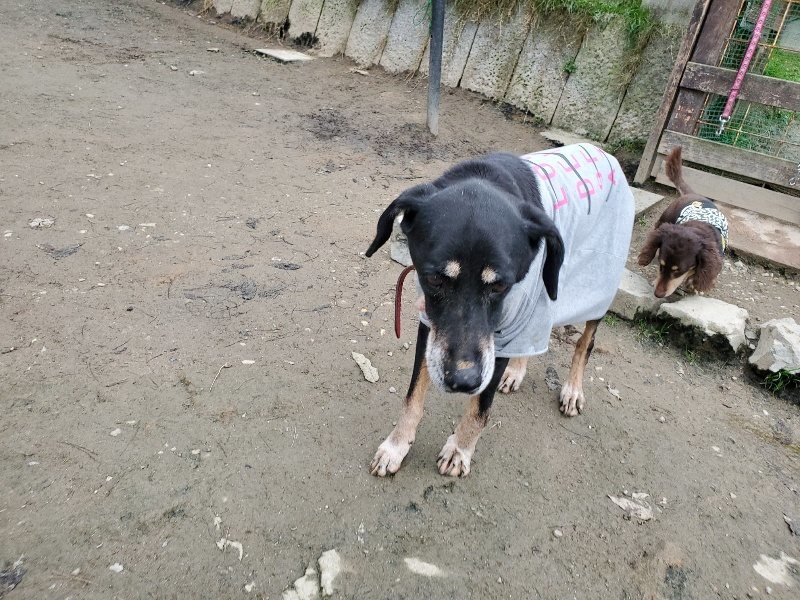 f:id:roukenhome-ann:20191222211659j:plain f:id:roukenhome-ann:20191222211659j:plain