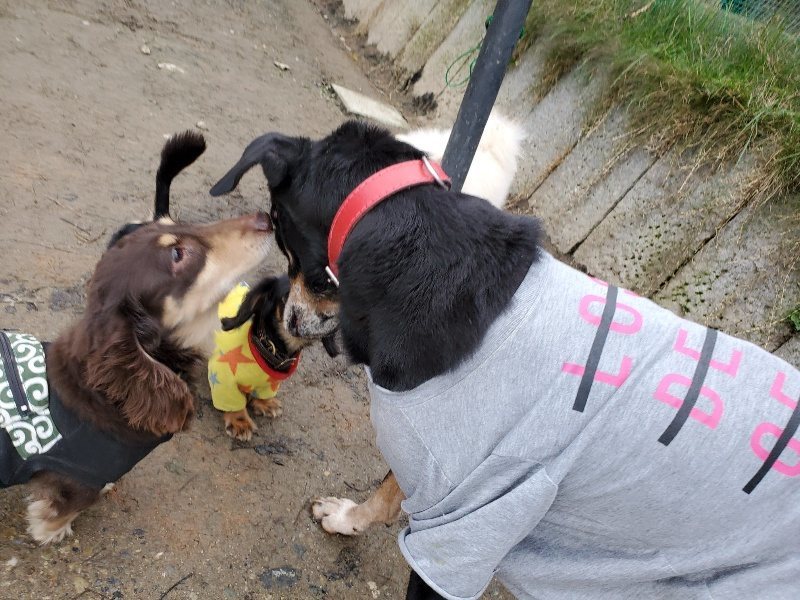 f:id:roukenhome-ann:20191222211706j:plain f:id:roukenhome-ann:20191222211706j:plain