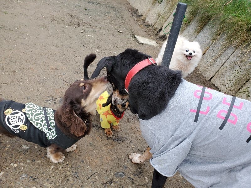 f:id:roukenhome-ann:20191222211712j:plain f:id:roukenhome-ann:20191222211712j:plain