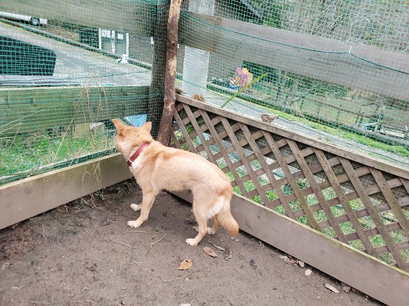 f:id:roukenhome-ann:20191222211721j:plain f:id:roukenhome-ann:20191222211721j:plain
