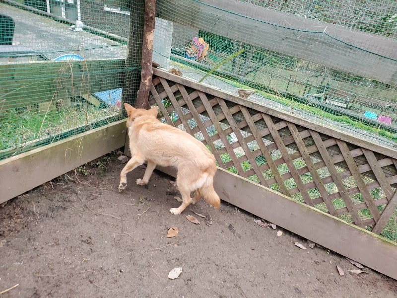 f:id:roukenhome-ann:20191222211749j:plain f:id:roukenhome-ann:20191222211749j:plain