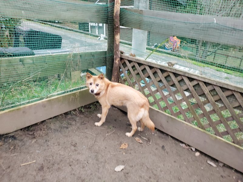 f:id:roukenhome-ann:20191222211755j:plain f:id:roukenhome-ann:20191222211755j:plain