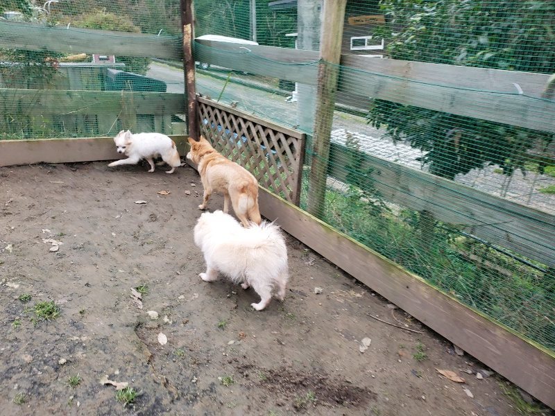 f:id:roukenhome-ann:20191222211807j:plain f:id:roukenhome-ann:20191222211807j:plain
