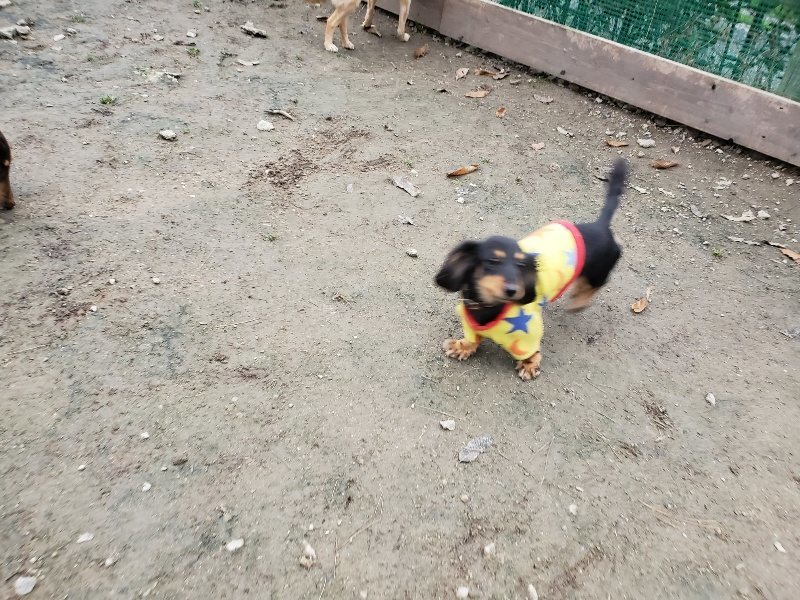f:id:roukenhome-ann:20191222211827j:plain f:id:roukenhome-ann:20191222211827j:plain