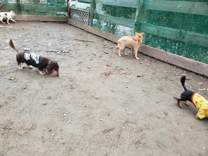 f:id:roukenhome-ann:20191222211843j:plain f:id:roukenhome-ann:20191222211843j:plain