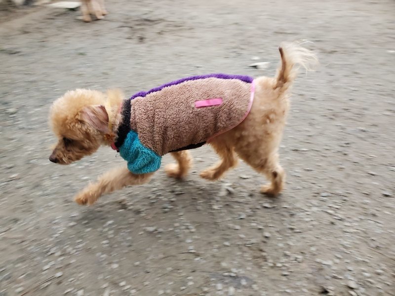 f:id:roukenhome-ann:20191222211955j:plain f:id:roukenhome-ann:20191222211955j:plain