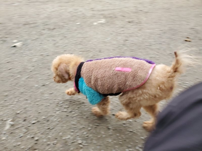 f:id:roukenhome-ann:20191222212010j:plain f:id:roukenhome-ann:20191222212010j:plain