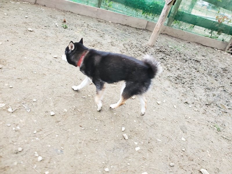 f:id:roukenhome-ann:20191222212025j:plain f:id:roukenhome-ann:20191222212025j:plain