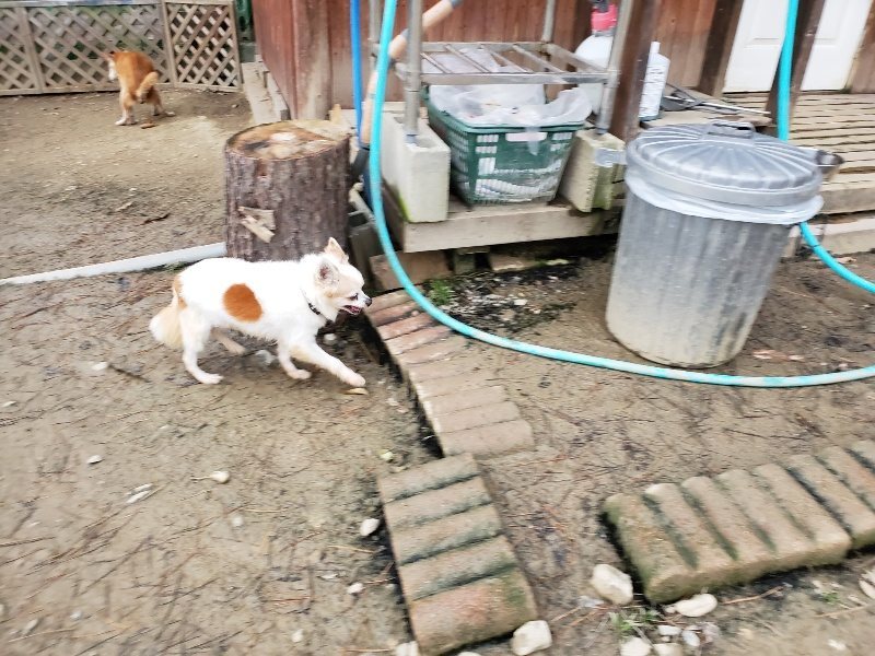 f:id:roukenhome-ann:20191222212123j:plain f:id:roukenhome-ann:20191222212123j:plain
