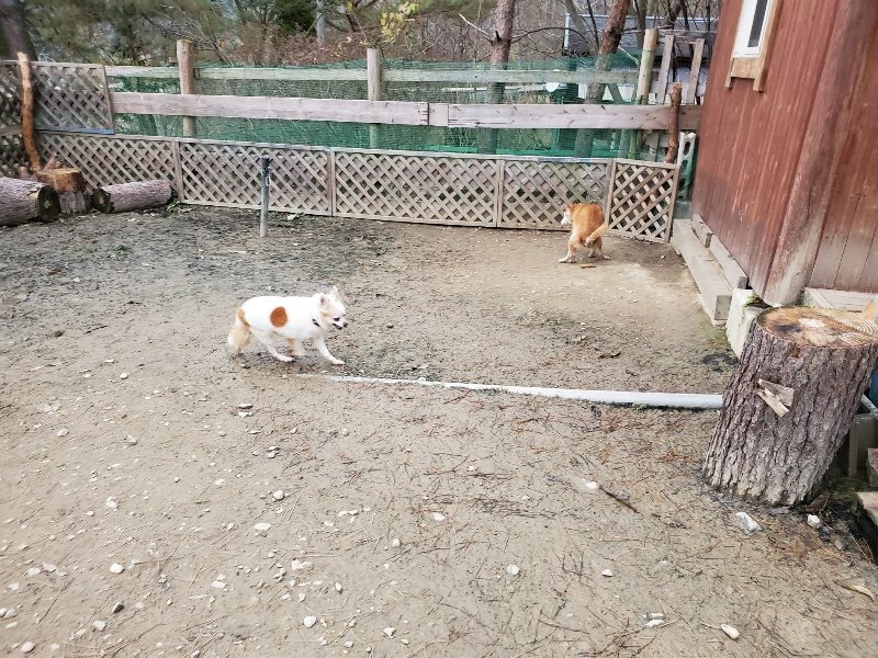 f:id:roukenhome-ann:20191222212140j:plain f:id:roukenhome-ann:20191222212140j:plain