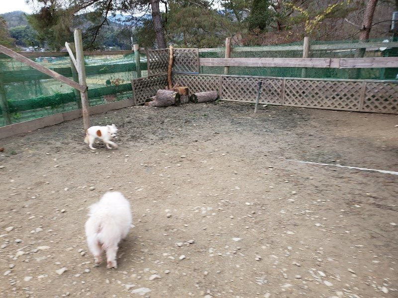 f:id:roukenhome-ann:20191222212150j:plain f:id:roukenhome-ann:20191222212150j:plain