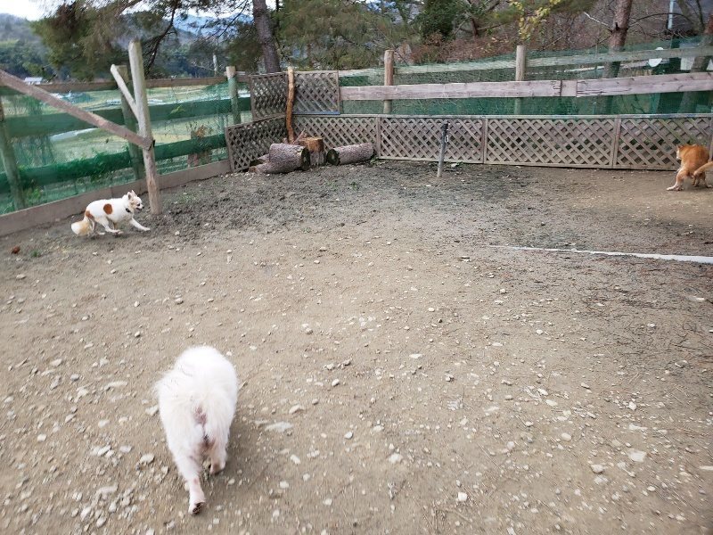 f:id:roukenhome-ann:20191222212213j:plain f:id:roukenhome-ann:20191222212213j:plain