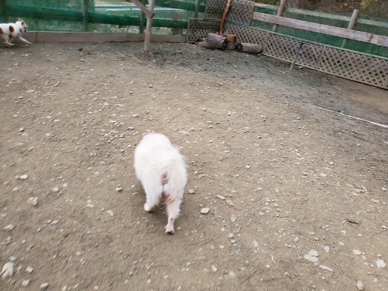 f:id:roukenhome-ann:20191222212221j:plain f:id:roukenhome-ann:20191222212221j:plain