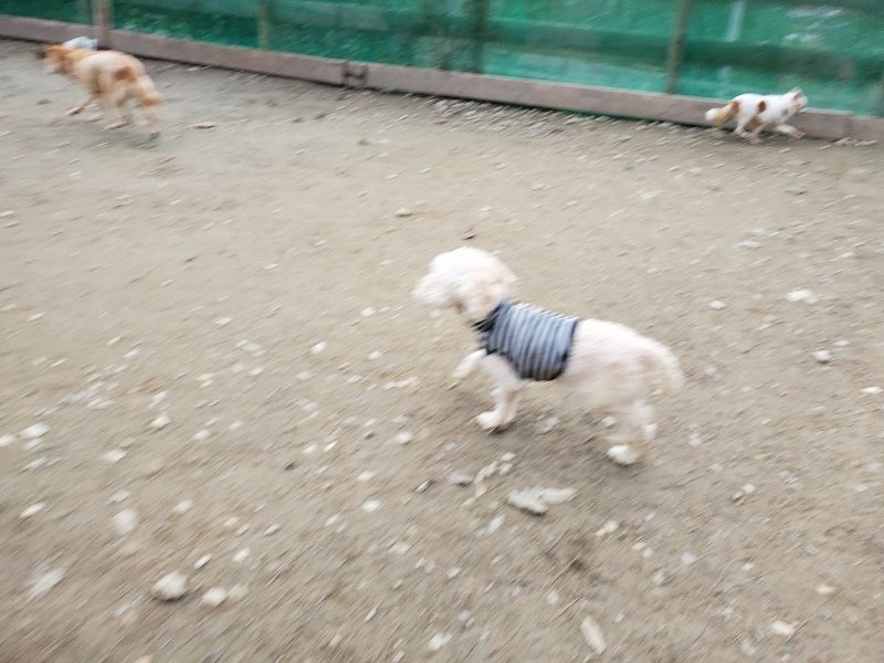 f:id:roukenhome-ann:20191222212240j:plain f:id:roukenhome-ann:20191222212240j:plain