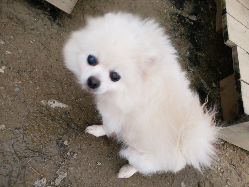 f:id:roukenhome-ann:20191222212412j:plain f:id:roukenhome-ann:20191222212412j:plain