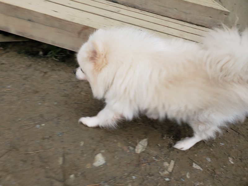 f:id:roukenhome-ann:20191222212419j:plain f:id:roukenhome-ann:20191222212419j:plain
