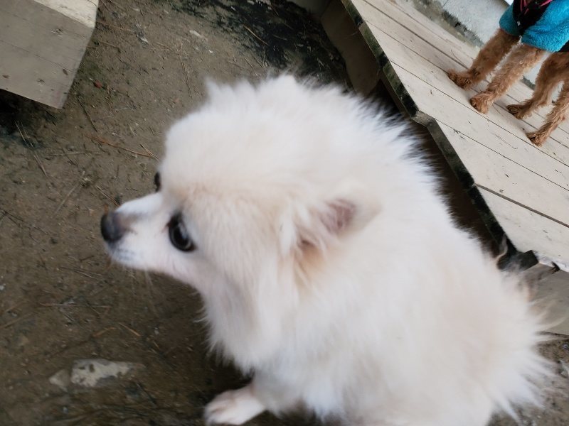 f:id:roukenhome-ann:20191222212425j:plain f:id:roukenhome-ann:20191222212425j:plain
