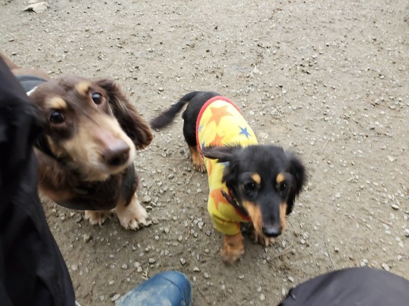 f:id:roukenhome-ann:20191222212657j:plain f:id:roukenhome-ann:20191222212657j:plain