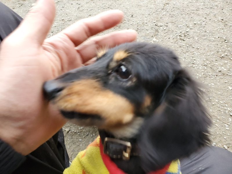 f:id:roukenhome-ann:20191222212704j:plain f:id:roukenhome-ann:20191222212704j:plain