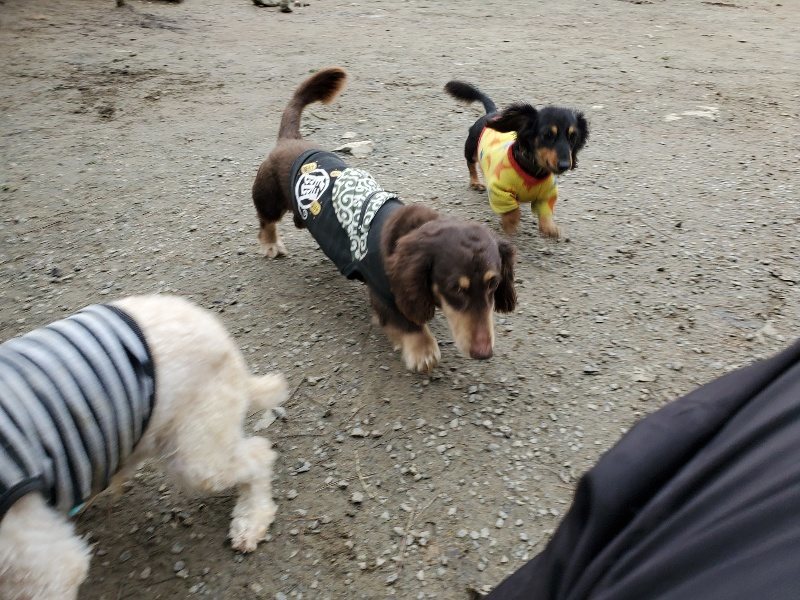 f:id:roukenhome-ann:20191222212709j:plain f:id:roukenhome-ann:20191222212709j:plain
