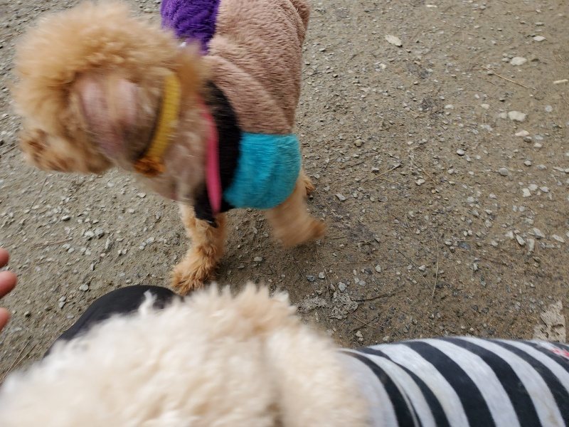 f:id:roukenhome-ann:20191222212726j:plain f:id:roukenhome-ann:20191222212726j:plain