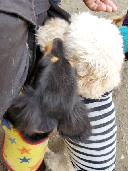f:id:roukenhome-ann:20191222212730j:plain f:id:roukenhome-ann:20191222212730j:plain