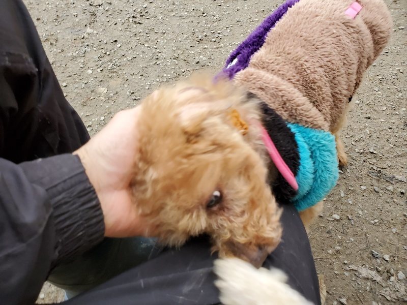f:id:roukenhome-ann:20191222212806j:plain f:id:roukenhome-ann:20191222212806j:plain