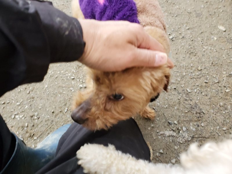 f:id:roukenhome-ann:20191222212813j:plain f:id:roukenhome-ann:20191222212813j:plain