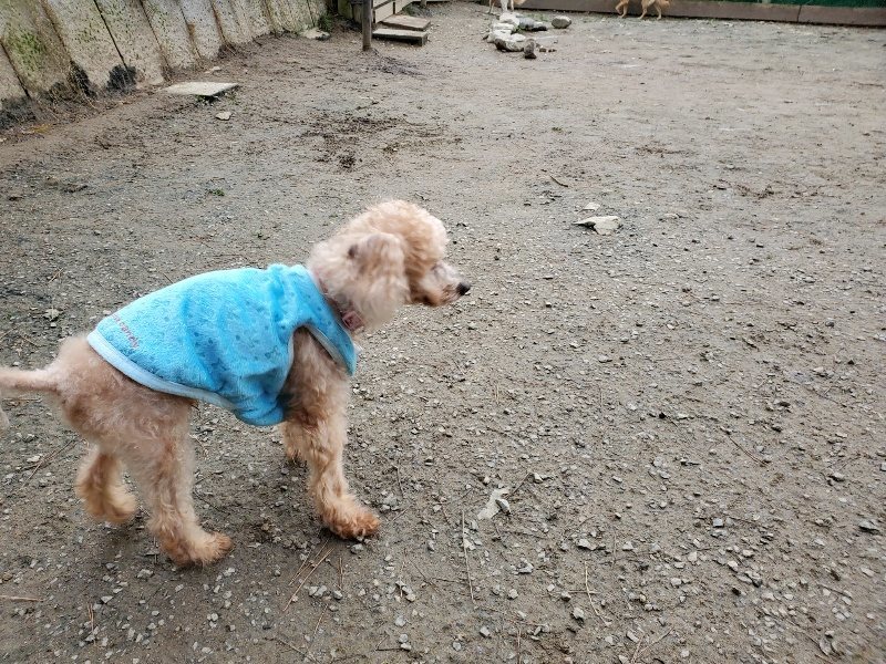 f:id:roukenhome-ann:20191222212825j:plain f:id:roukenhome-ann:20191222212825j:plain