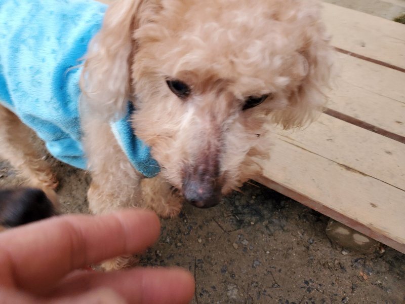f:id:roukenhome-ann:20191222212847j:plain f:id:roukenhome-ann:20191222212847j:plain