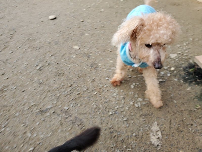 f:id:roukenhome-ann:20191222212857j:plain f:id:roukenhome-ann:20191222212857j:plain