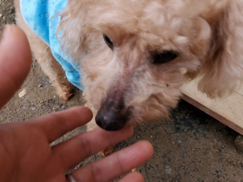 f:id:roukenhome-ann:20191222212906j:plain f:id:roukenhome-ann:20191222212906j:plain