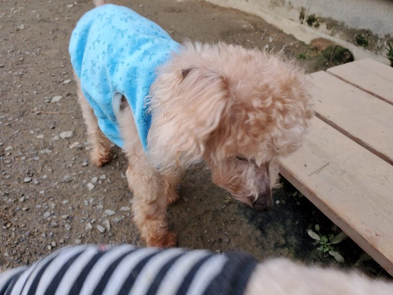 f:id:roukenhome-ann:20191222212912j:plain f:id:roukenhome-ann:20191222212912j:plain