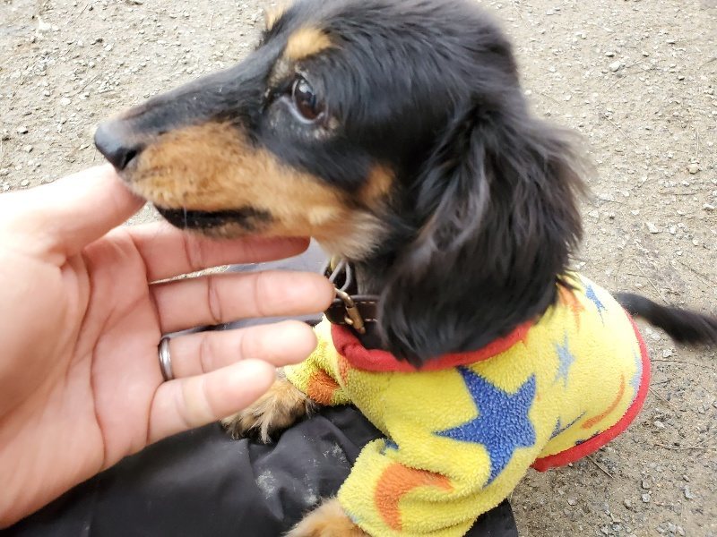 f:id:roukenhome-ann:20191222212921j:plain f:id:roukenhome-ann:20191222212921j:plain