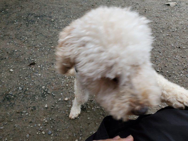 f:id:roukenhome-ann:20191222212925j:plain f:id:roukenhome-ann:20191222212925j:plain