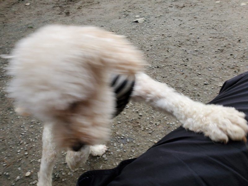 f:id:roukenhome-ann:20191222212934j:plain f:id:roukenhome-ann:20191222212934j:plain